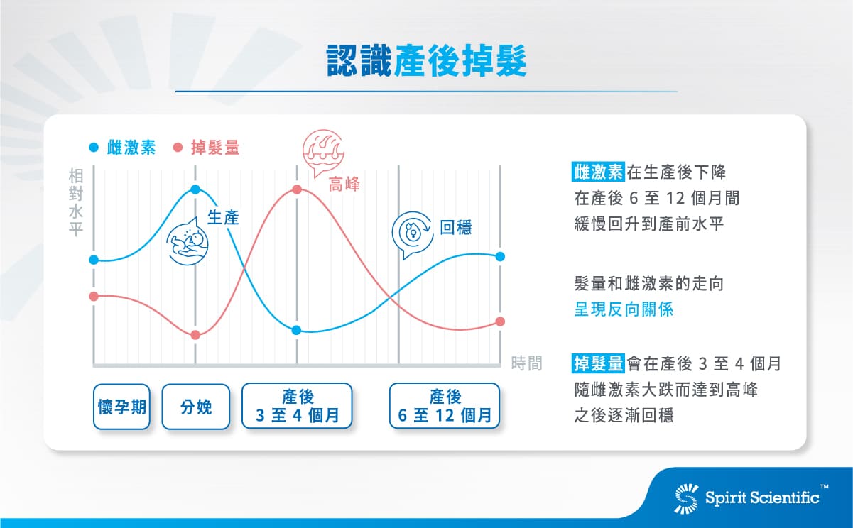 出現產後掉髮現象多半是因爲產後雌激素下降，讓掉髮量相對增加 